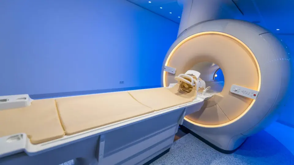 Psilocybin Study Finds Hidden Order in Brain Activity, Challenging 'Chaos' Theory
