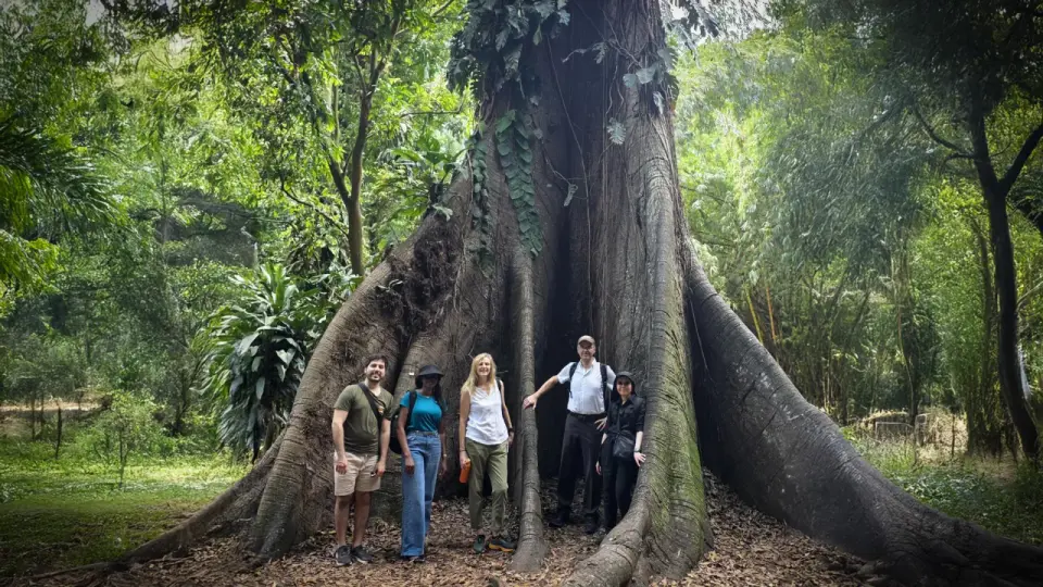 Africa’s forests switch from carbon sink to carbon source, prompting stronger conservation push