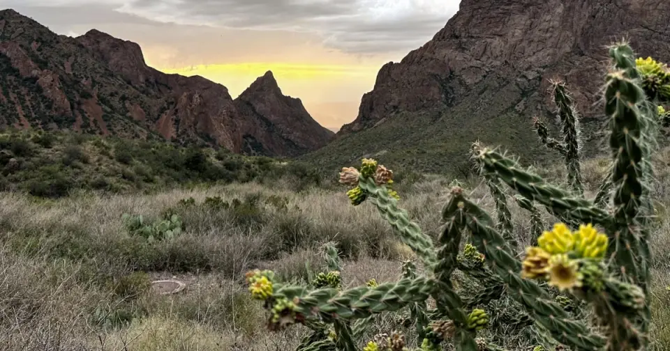 Federal judge halts Big Bend border wall construction, voids regulatory waivers