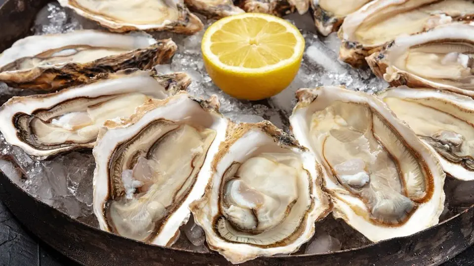 Fourth Floridian dies after oyster-linked flesh-eating infection
