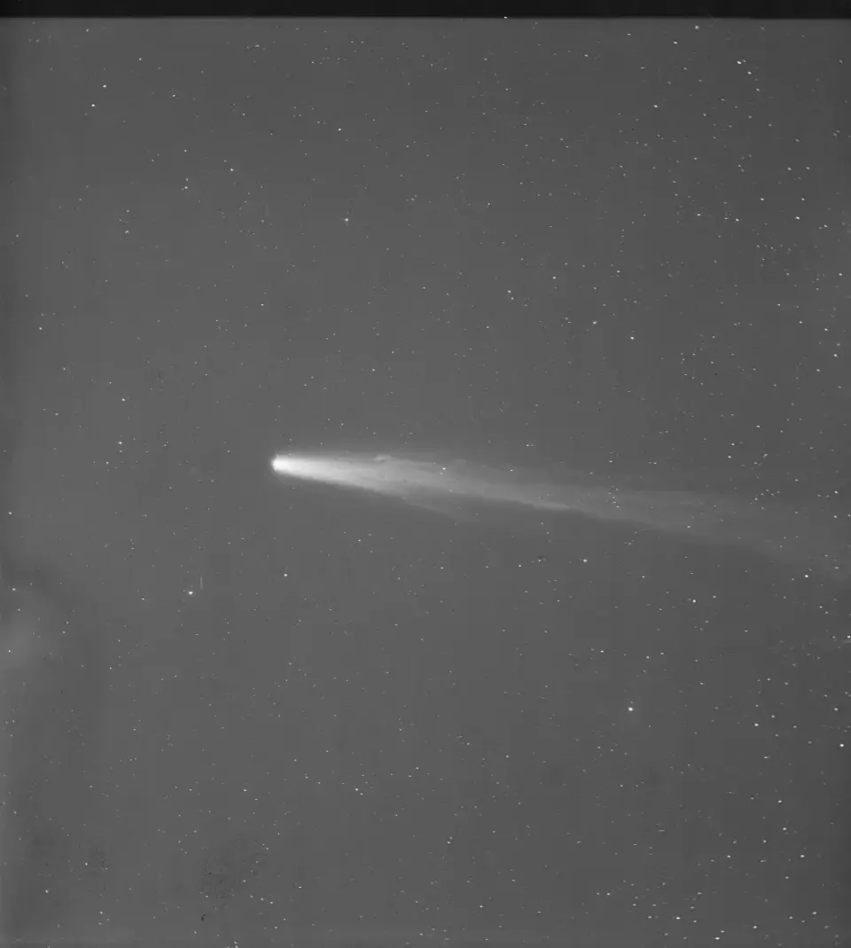 1910 Comet Panic: How Spectroscopy Misled the Public