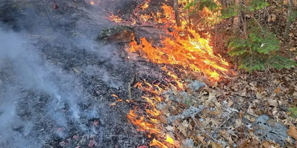 Upper Peninsula Wildfires Reach 286 Acres as Evacuations and Flight Restrictions Intensify