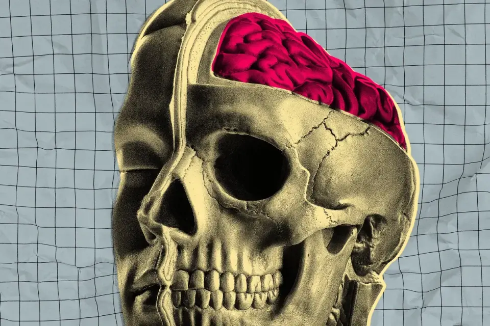 Startup Tests Drugs on Fresh Brains Kept Alive on Life Support