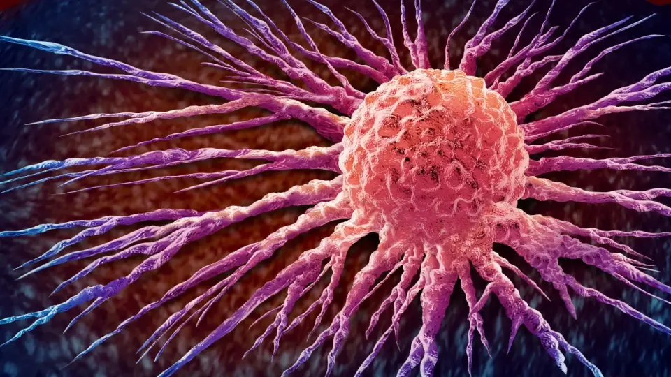 Drug Triggers Tumor Dissolution in Some Cancer Patients, Early Trial Shows