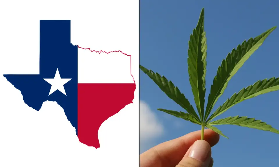 Texas Judge Blocks Hemp Ban, Keeps Smokable Products On Sale