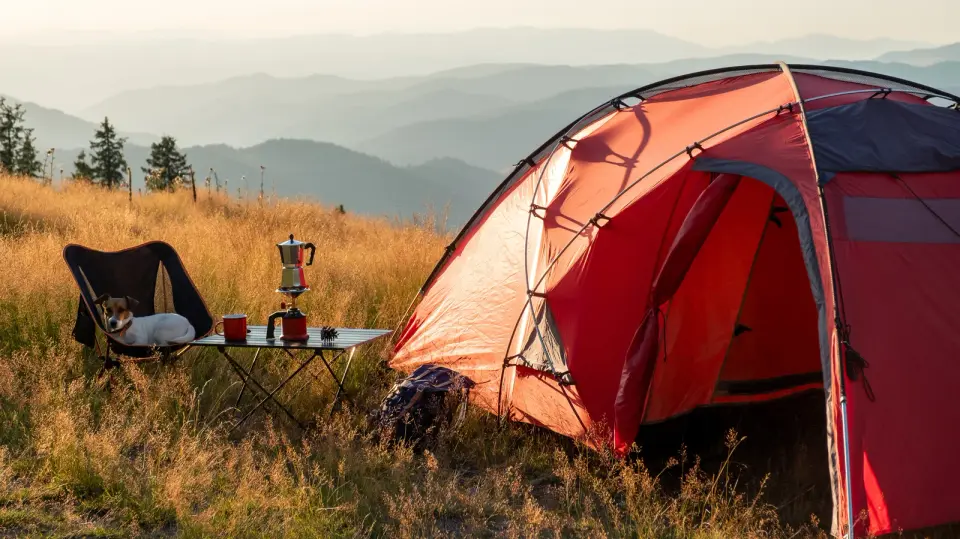 Home Depot's Top-Rated Foldable Gear for Campers