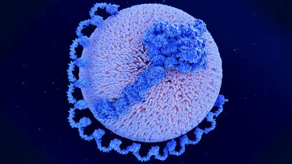 Lp(a) Drug Race Aims to Prove Heart Disease Prevention
