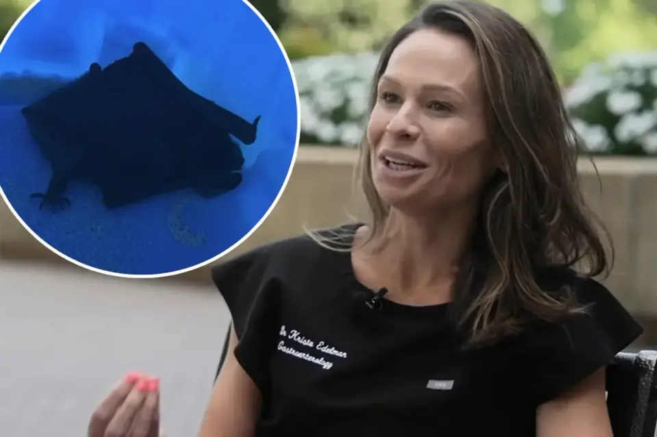 Doctor’s bat encounter triggers rabies PSA and safety tips