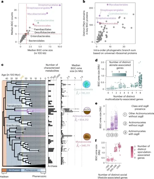 Multicellularity Expands Microbial Chemical Repertoires
