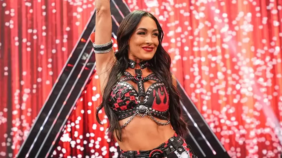 Brie Bella sidelined by painful SummerSlam shoulder injury