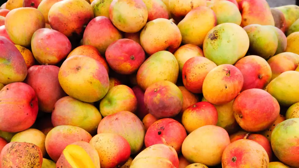 Walmart mangoes recalled in four Northeast states over salmonella risk