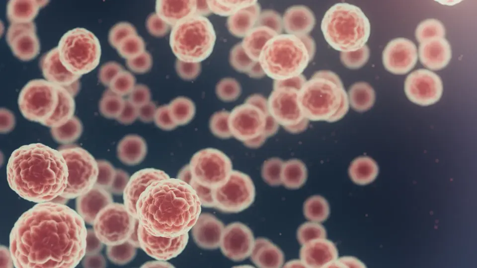 Global cancer cases to surge to 35 million per year by 2050, driven by inequality and aging