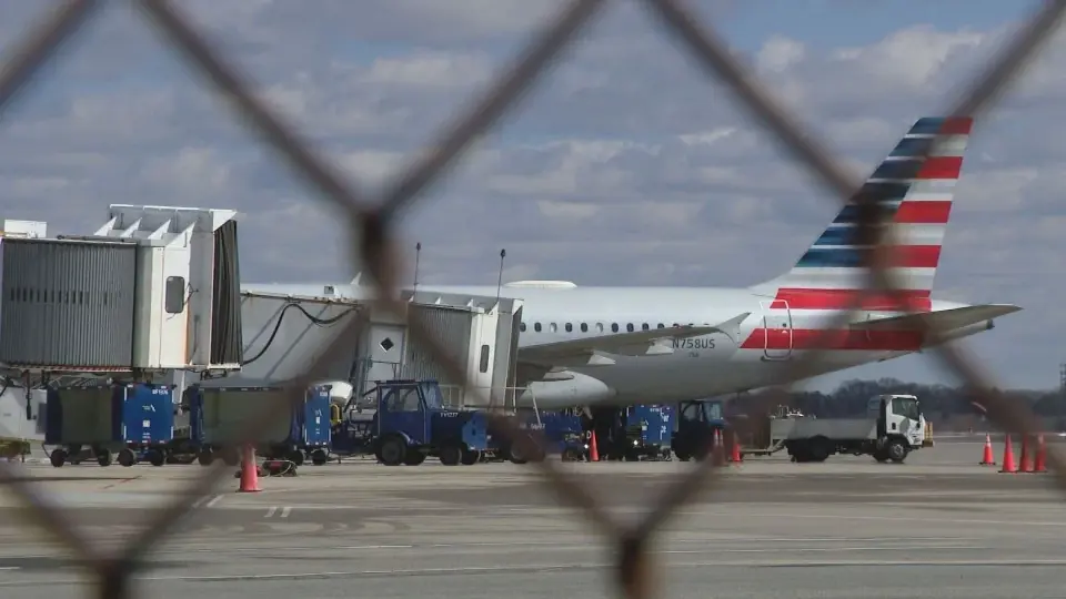 Coyote Injures Airport Worker in Rhode Island