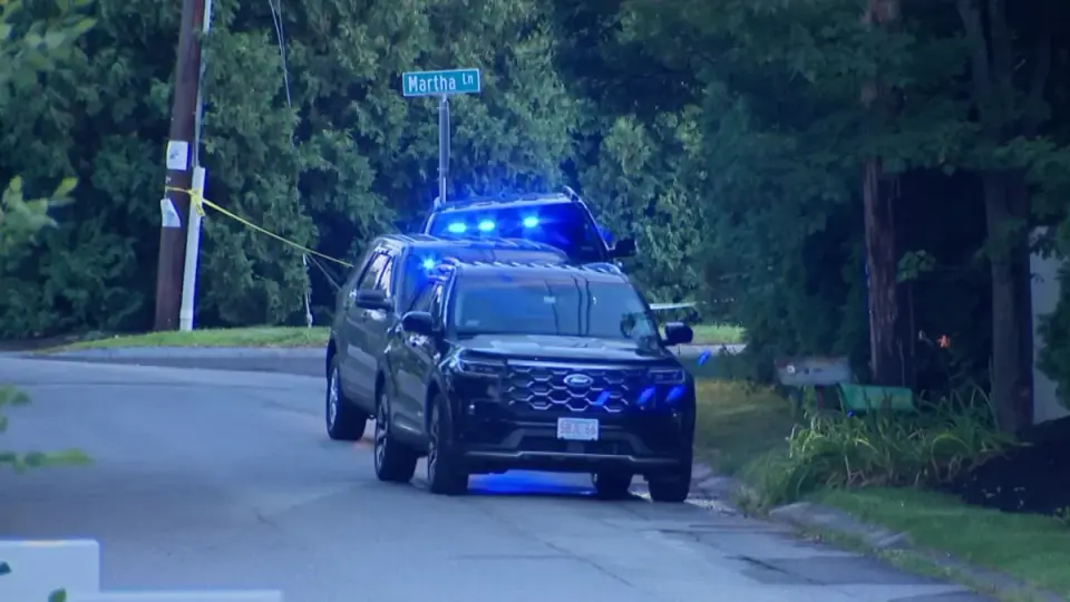 Acton: 17-year-old sought as two relatives found dead