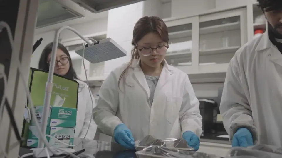 Maryland researchers near breakthrough in biodegradable packaging to curb plastic pollution