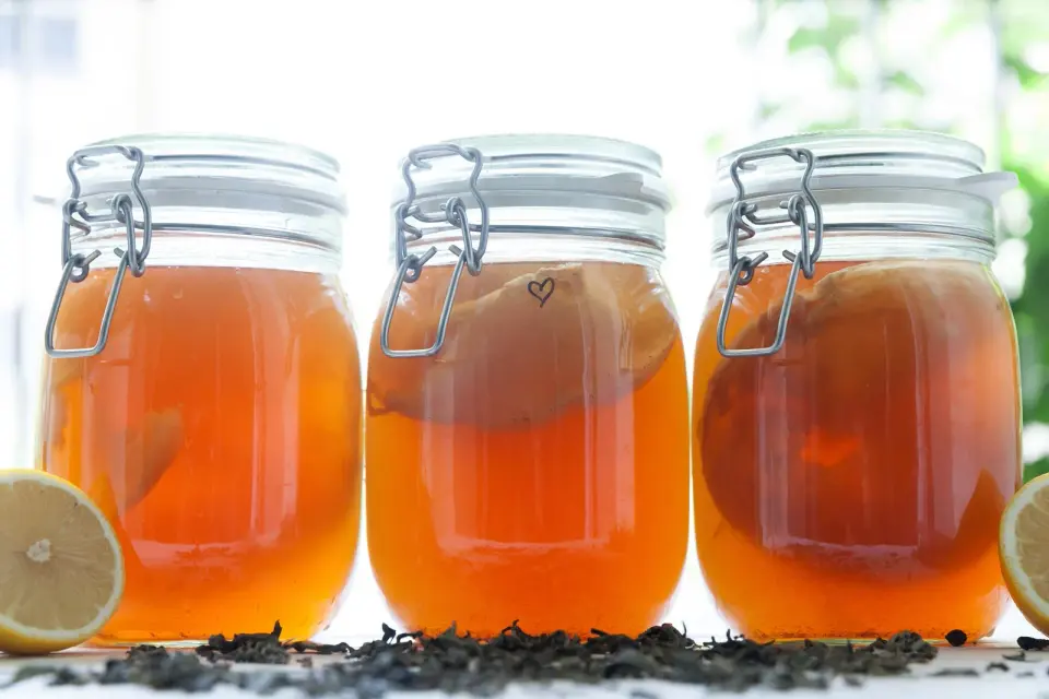 Tea-Driven Fermentation: Green and Oolong Boost Kombucha's Chemistry and Antioxidants
