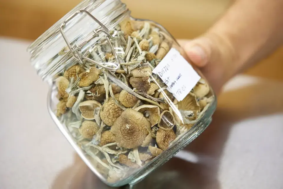 Publicly funded trial finds psilocybin eases treatment-resistant depression