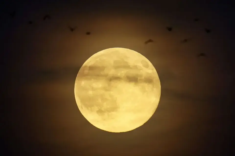 Hunter's Moon Peaks Early, Missing Halloween but Lighting Up Global Skies