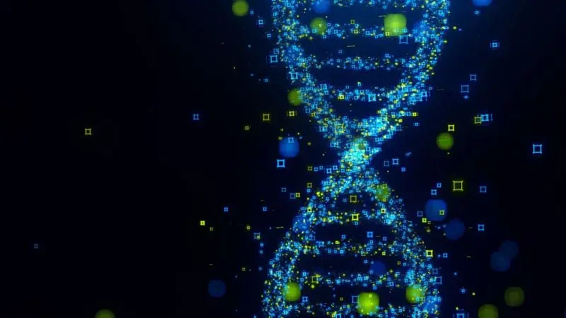 DNA Reveals Two Hidden Ancestors In Modern Humans