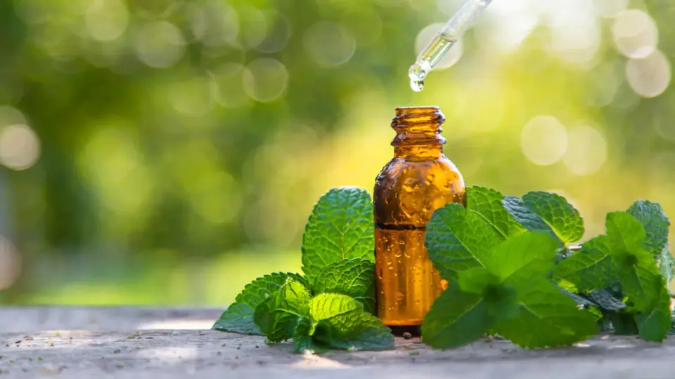 Fresh Mint, Fresh Data: Peppermint Oil Lowers Mild Hypertension in 20 Days