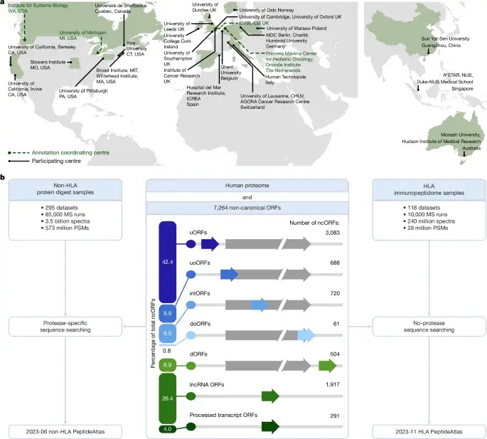 Proteome expanded by microproteins and a new peptidein category