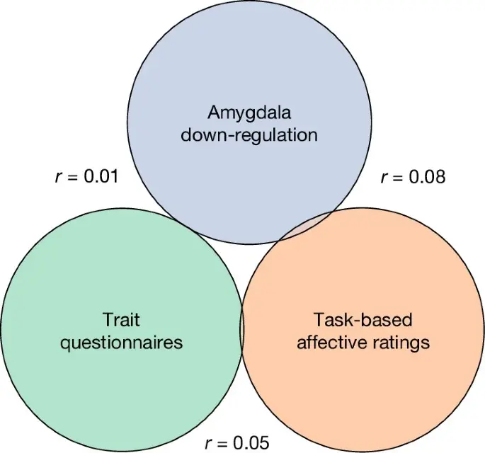 Large-Scale Study Finds No Shared Neural Signature for Emotion Regulation Capacity