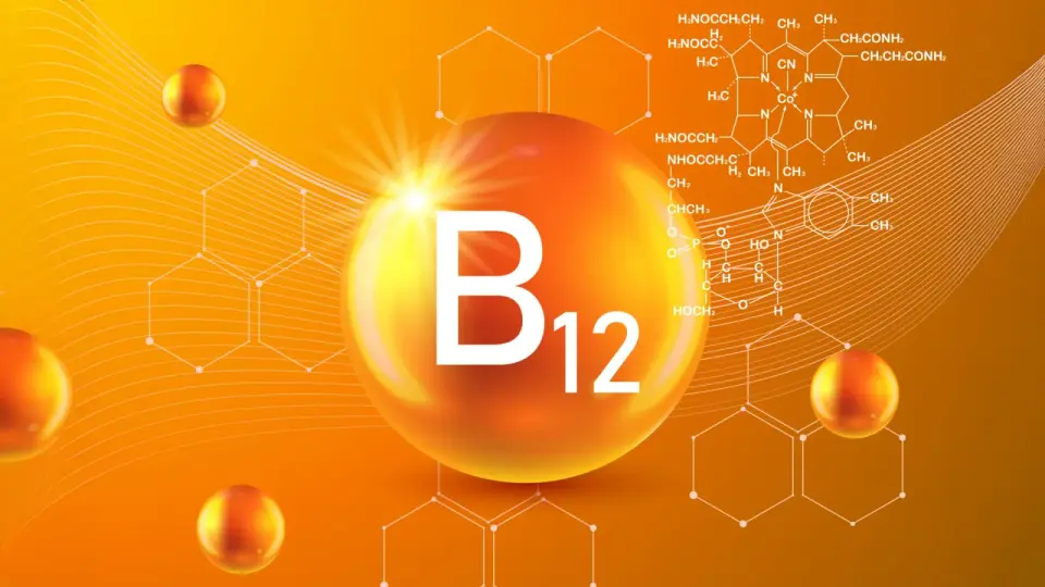 Modified Light Conditions Enable Spirulina to Produce Bioavailable Vitamin B12 at Beef-Level Concentrations