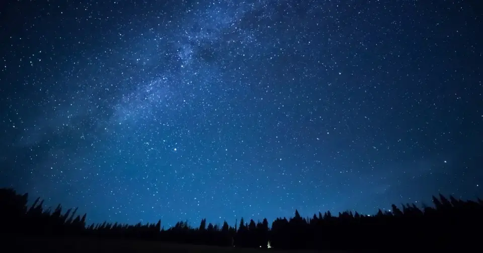 Brighter Skies, Shorter Distances: The Night Sky of the First Life