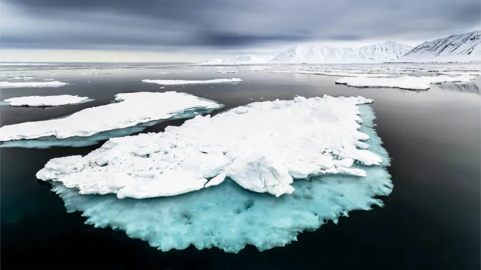 Arctic sea-ice melt triggers nutrient tipping point, threatening the food web