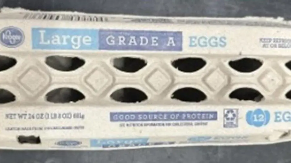 FDA elevates egg recall to Class I amid Salmonella outbreak