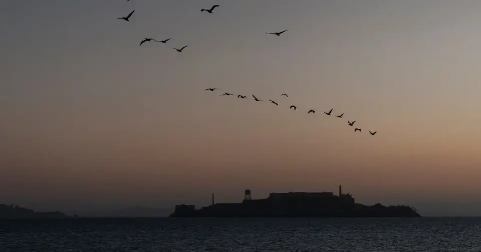 Sea Memorial Turns into a Second Tragedy for a Bay Area Family
