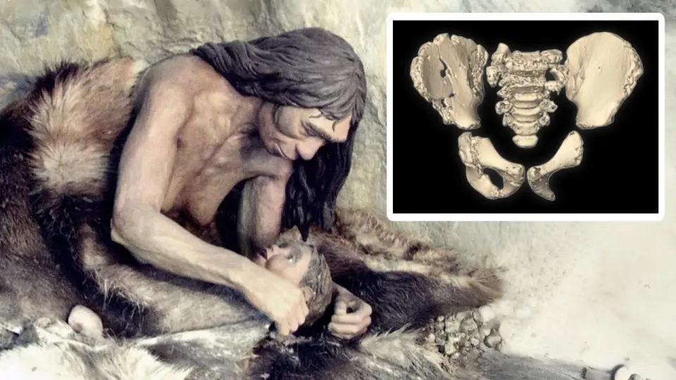 Neanderthal pelvis reshapes the birth-walk debate