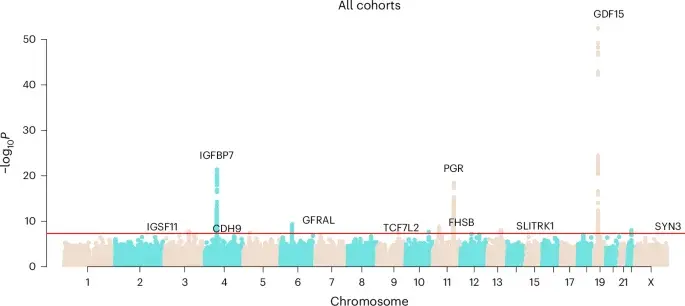Genetic map of severe pregnancy nausea uncovers 10 risk loci across diverse populations