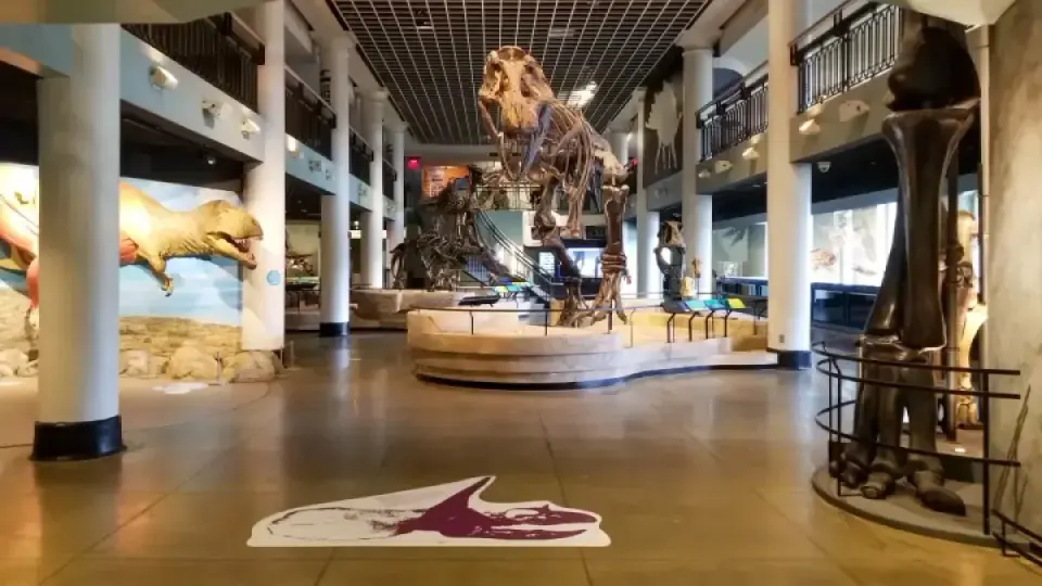 Philadelphia's Oldest Science Museum to Close After 198 Years Amid Financial Strain
