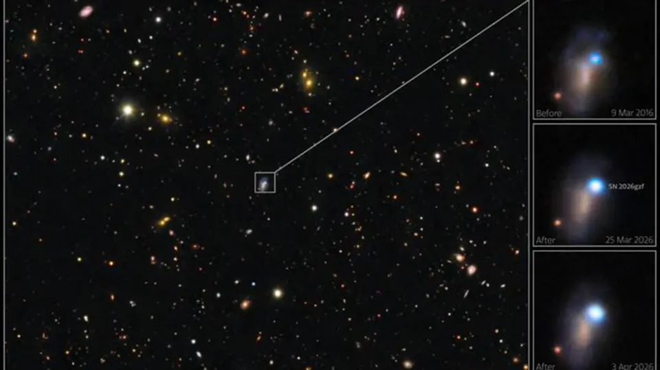 Global telescope network captures earliest moments of a distant supernova in unprecedented detail