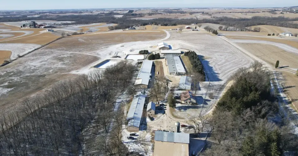 Hundreds of activists storm Ridglan Farms, triggering arrests and tense police response