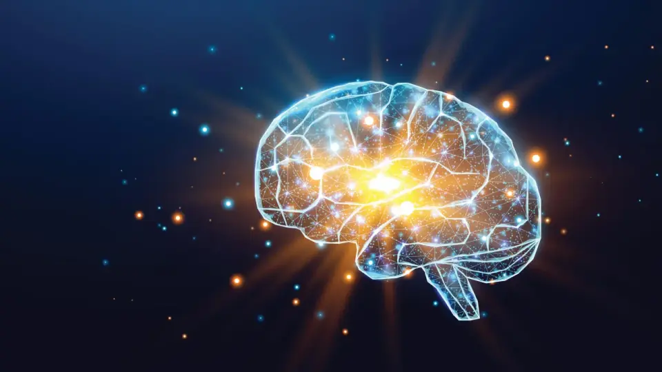 Creatine: Beyond muscles to brain health and potential therapies