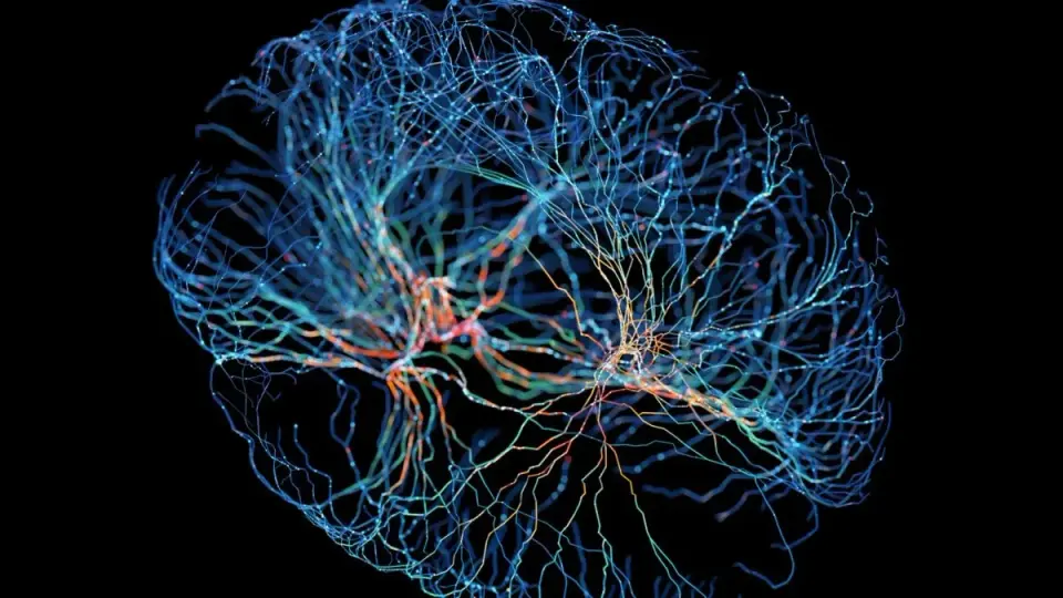 Brain Rewires in Response to Chronic Tinnitus, Study Finds