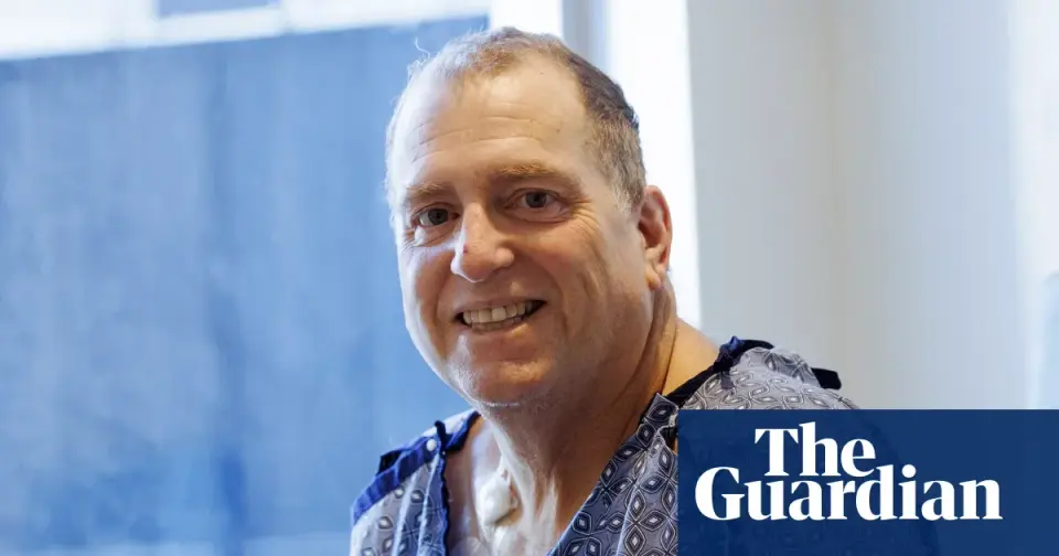 Pig Kidney Bridge: Record Nine-Month Survival Paves Way for Human Transplant