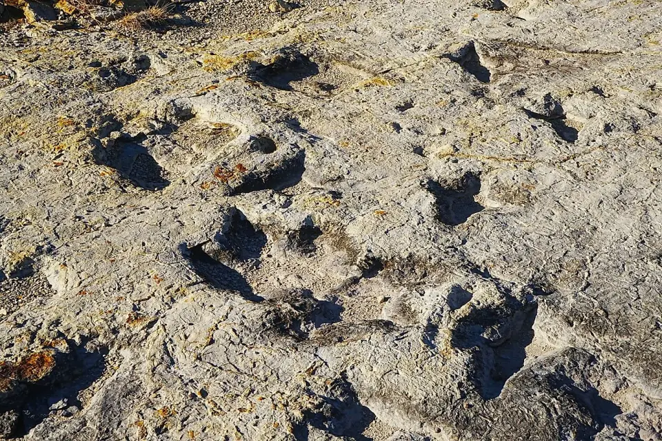 Footprints Through Time: Five US State Parks Guard Dinosaur Tracks