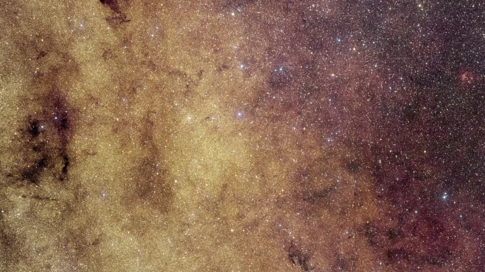 Euclid captures the Milky Way’s crowded heart to weigh exoplanets