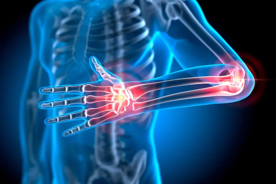 Fat-Derived Molecules Act as the Body's Inflammation Brake