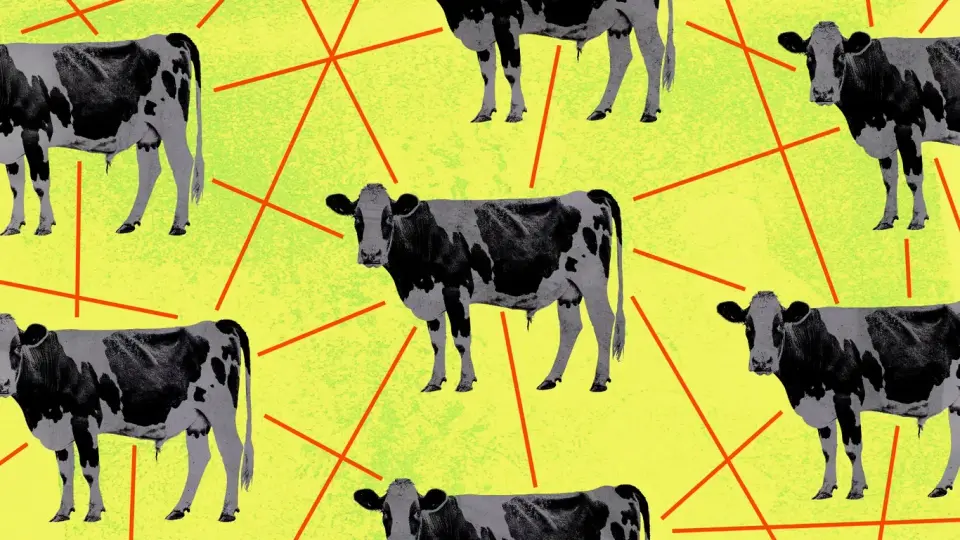 Trump vows to bypass meat processing regulations amid industry backlash