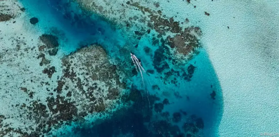 New study identifies three common factors behind global conservation 'bright spots'