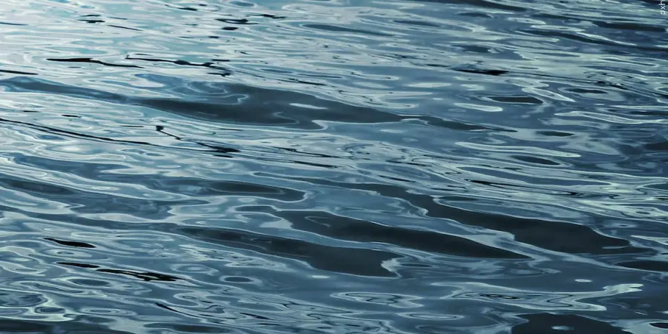 Georgia teacher who saved girl in Myrtle Beach rip current dies in rescue