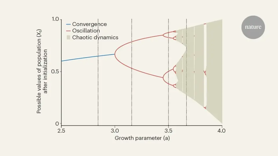 Fifty years on: how a lone equation revealed biology’s chaotic edge