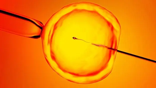 AI-powered Star system helps uncover hidden sperm for biological fatherhood