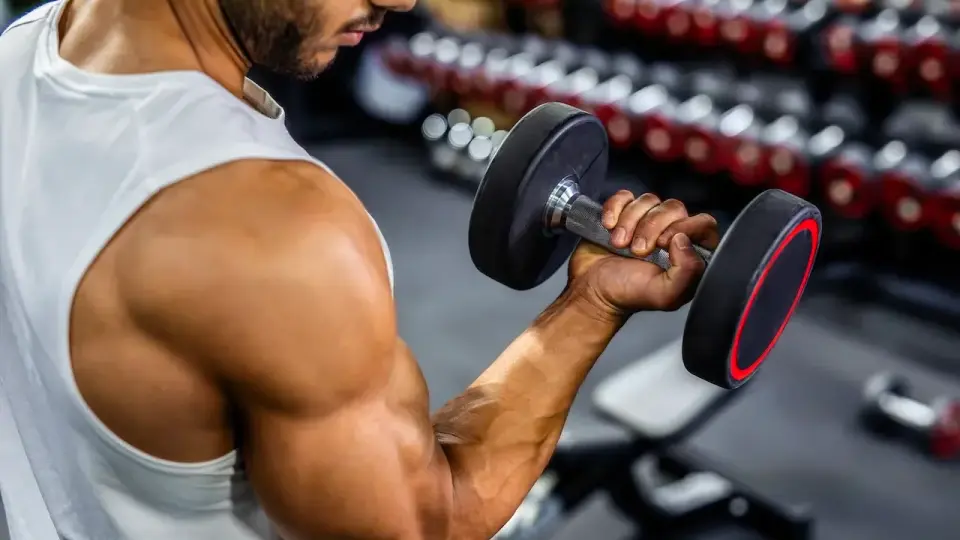 Italian Study Finds Tadalafil Boosts Muscle Cell Survival in Lab Tests