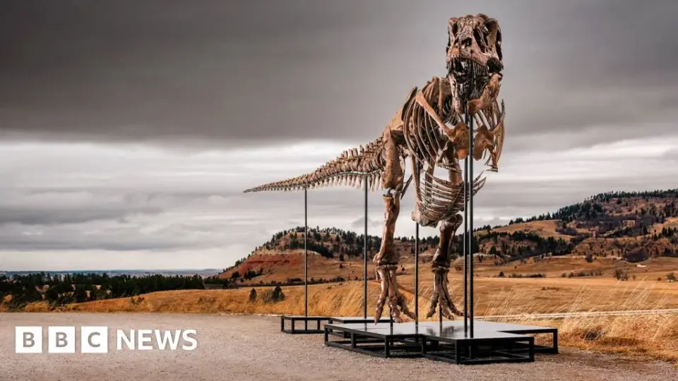 Gus the T. rex Could Break Dinosaur Auction Record, Sparking Fossil Ownership Debate