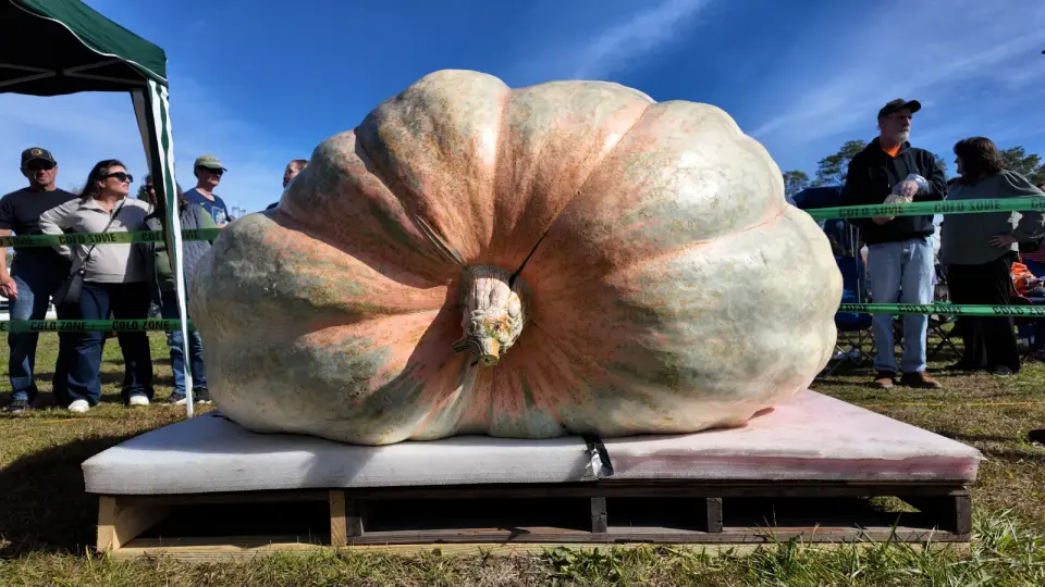 Rhode Island Grower Sets New Pumpkin Record at 3,156 Pounds